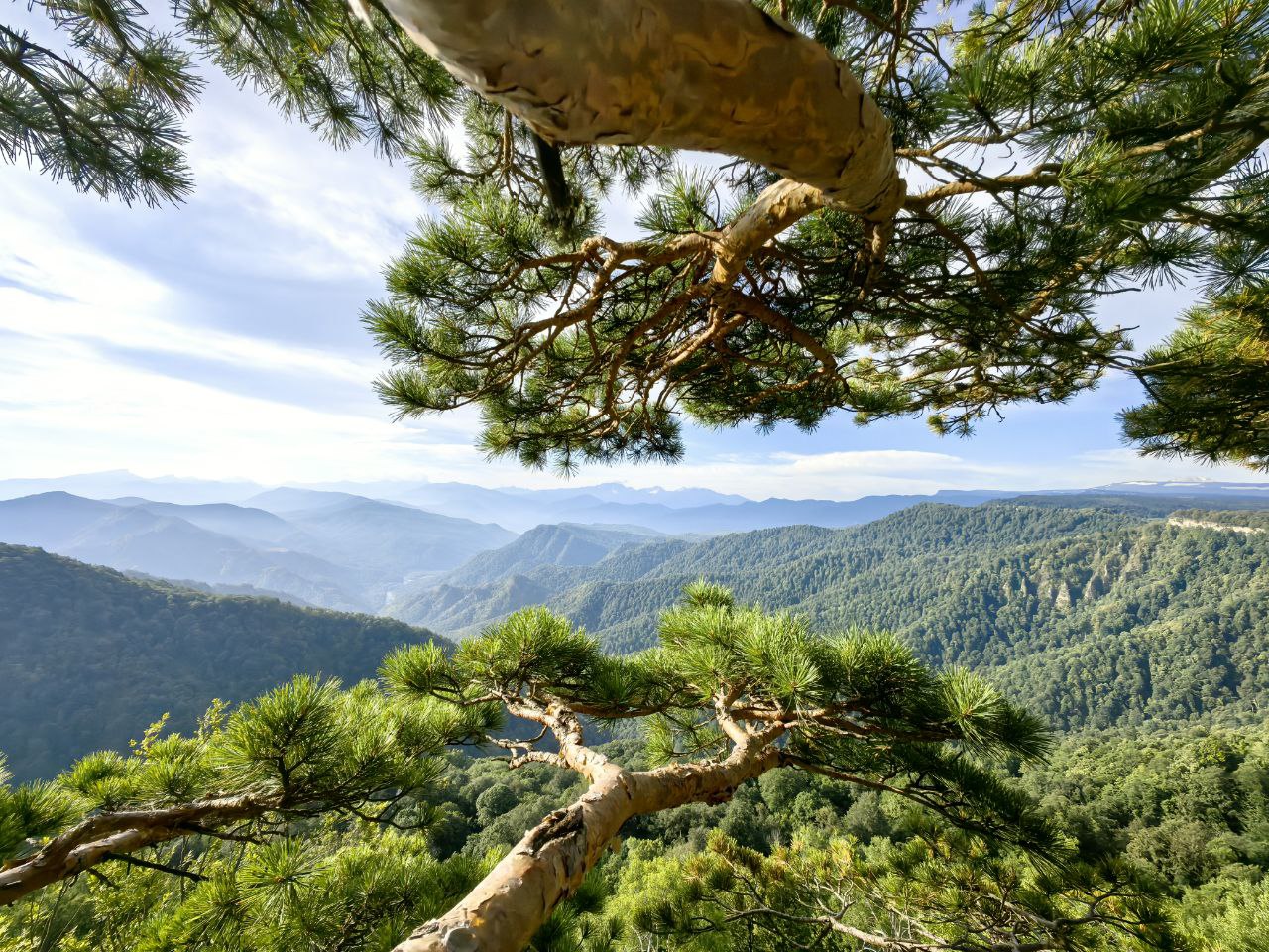 Плато Лаго Наки: горы, поляны, луга и реки